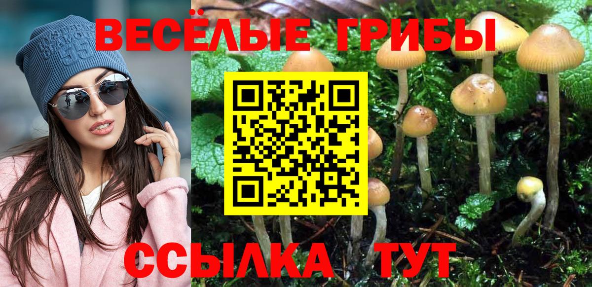 Галлюциногенные грибы GOLDEN TEACHER Лесосибирск